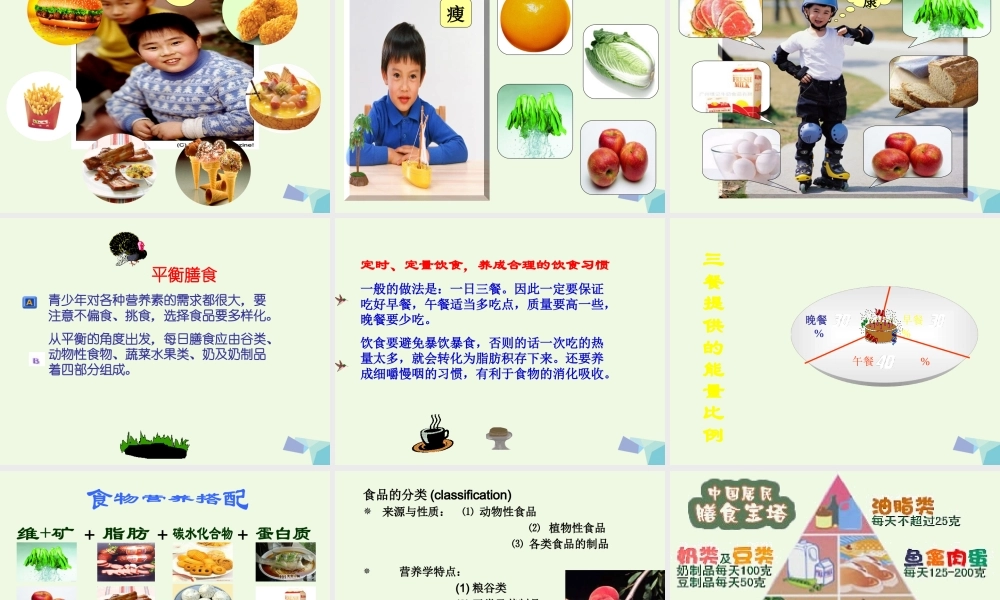 六年级科学上册 2.1 食物中的营养课件2 湘教版-湘教版小学六年级上册自然科学课件