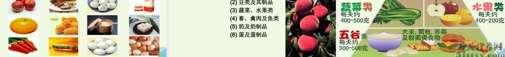 六年级科学上册 2.1 食物中的营养课件2 湘教版-湘教版小学六年级上册自然科学课件