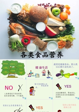 六年级科学上册 2.1 食物中的营养课件2 湘教版-湘教版小学六年级上册自然科学课件