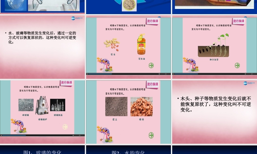 六年级科学上册 第2单元 6 食盐和水泥课件10 青岛版