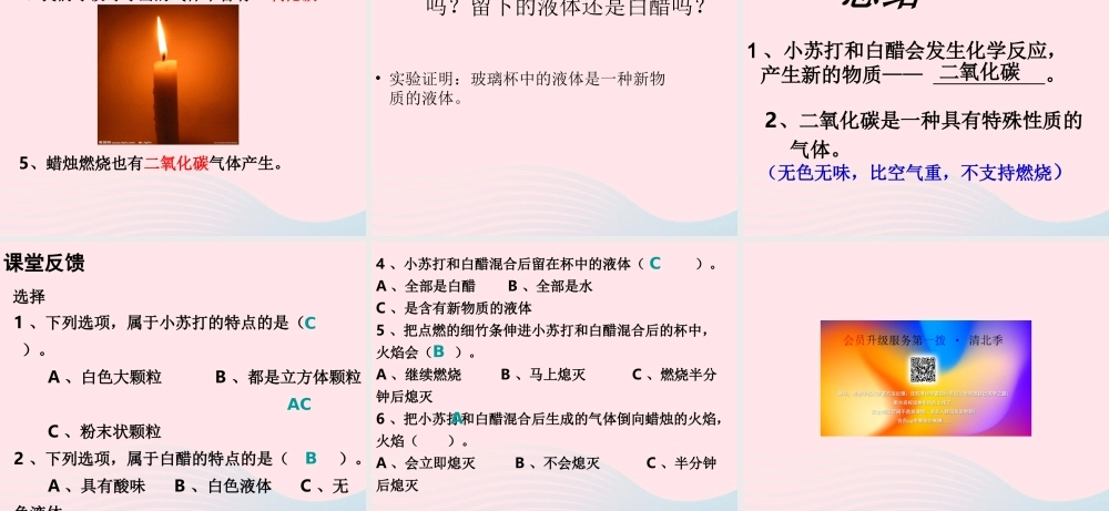 六年级科学下册 第二单元 物质的变化 4 小苏打和白醋的变化课件2 教科版-教科版小学六年级下册自然科学课件