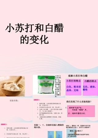 六年级科学下册 第二单元 物质的变化 4 小苏打和白醋的变化课件2 教科版-教科版小学六年级下册自然科学课件