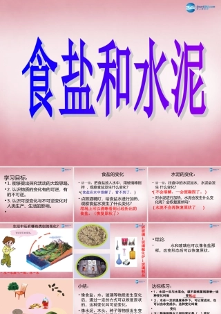 六年级科学上册 第2单元 6 食盐和水泥课件11 青岛版