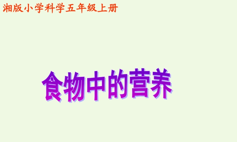 六年级科学上册 2.1 食物中的营养课件3 湘教版-湘教版小学六年级上册自然科学课件