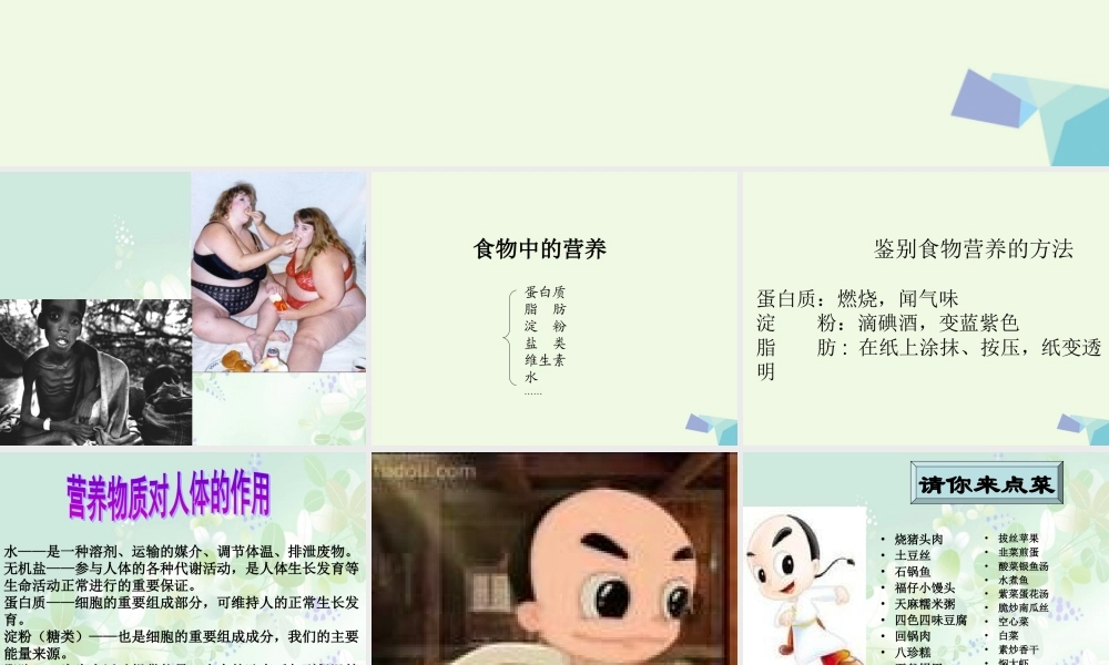 六年级科学上册 2.1 食物中的营养课件3 湘教版-湘教版小学六年级上册自然科学课件