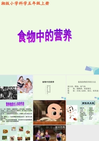 六年级科学上册 2.1 食物中的营养课件3 湘教版-湘教版小学六年级上册自然科学课件