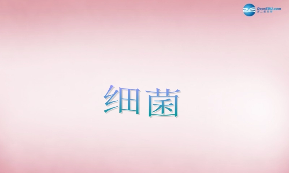 六年级科学上册 第一单元 2 细菌课件5 青岛版