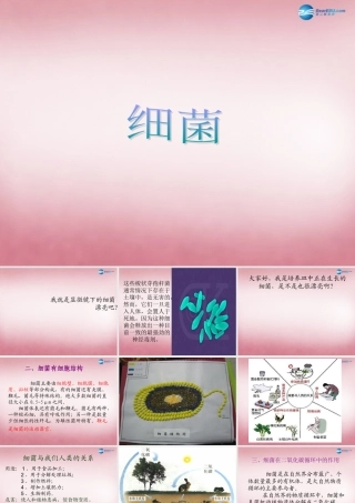 六年级科学上册 第一单元 2 细菌课件5 青岛版