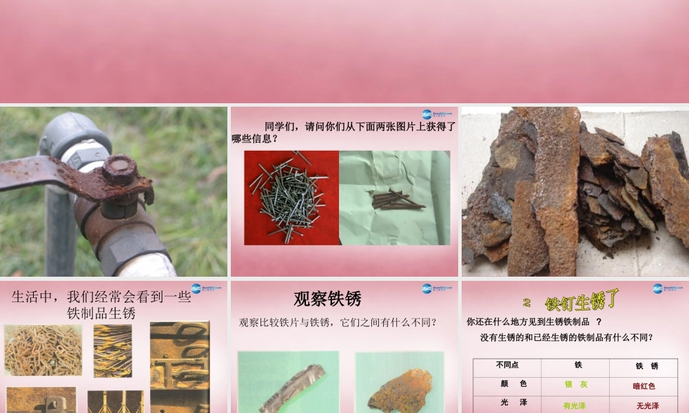 六年级科学上册 第2单元 7 铁生锈课件1 青岛版