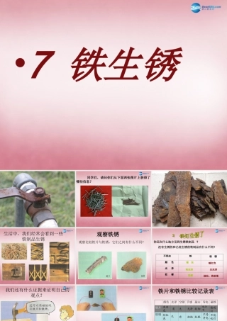 六年级科学上册 第2单元 7 铁生锈课件1 青岛版