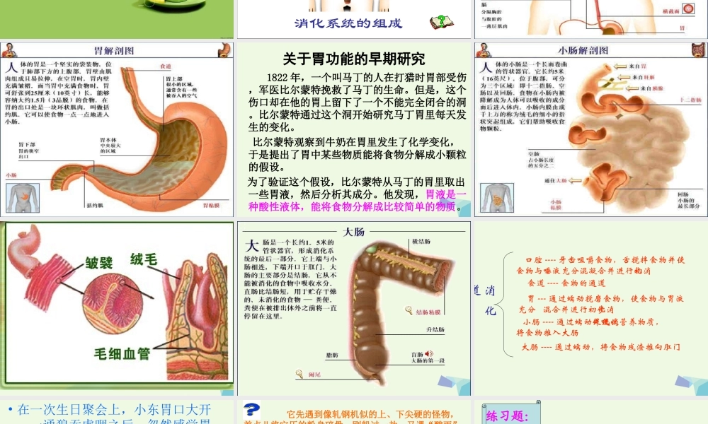 六年级科学上册 2.2 消化与吸收课件1 湘教版-湘教版小学六年级上册自然科学课件