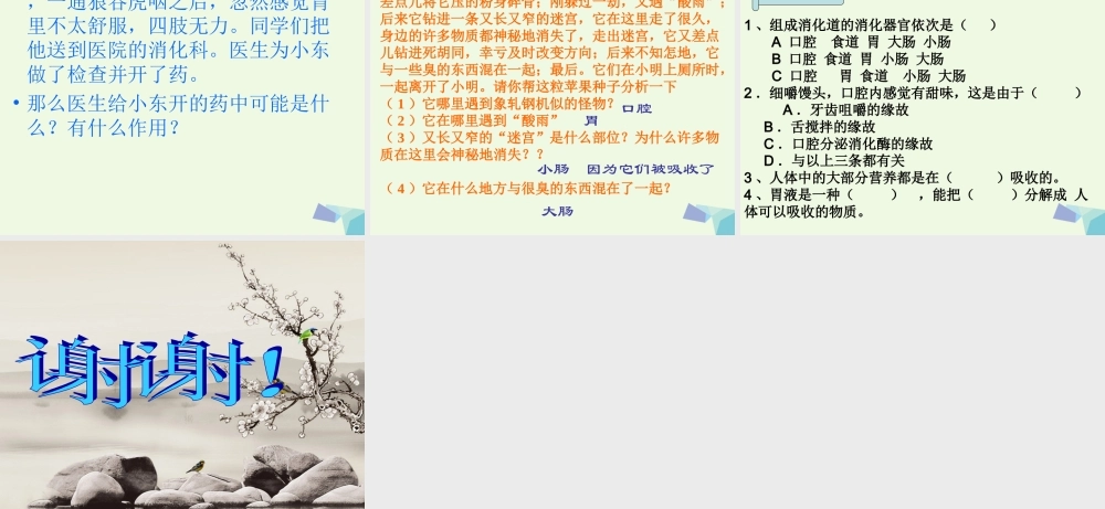 六年级科学上册 2.2 消化与吸收课件1 湘教版-湘教版小学六年级上册自然科学课件