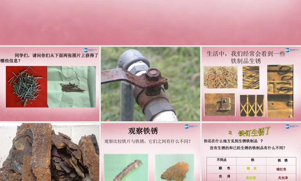 六年级科学上册 第2单元 7 铁生锈课件2 青岛版