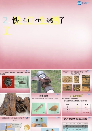 六年级科学上册 第2单元 7 铁生锈课件2 青岛版