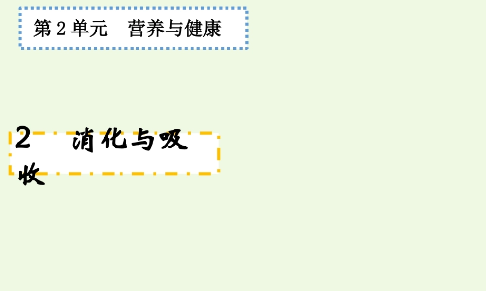 六年级科学上册 2.2 消化与吸收课件2 湘教版-湘教版小学六年级上册自然科学课件
