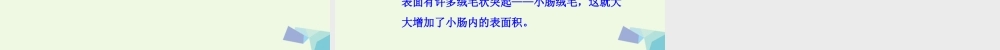 六年级科学上册 2.2 消化与吸收课件2 湘教版-湘教版小学六年级上册自然科学课件