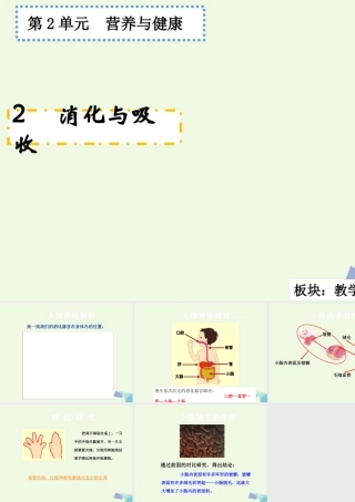 六年级科学上册 2.2 消化与吸收课件2 湘教版-湘教版小学六年级上册自然科学课件