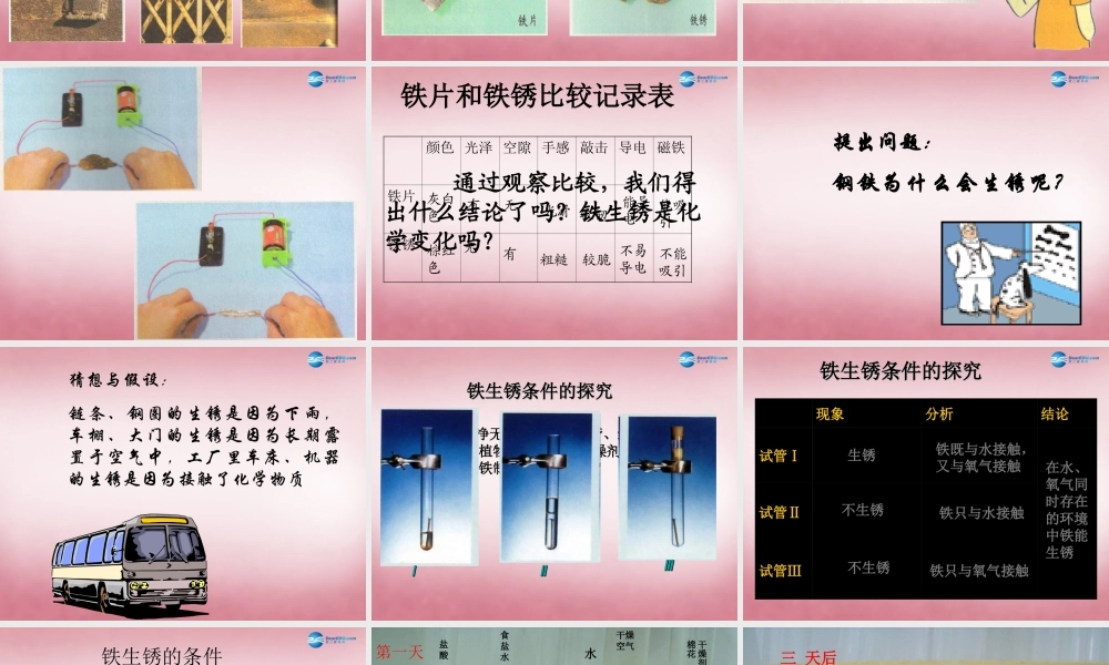 六年级科学上册 第2单元 7 铁生锈课件3 青岛版