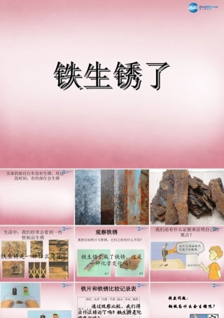六年级科学上册 第2单元 7 铁生锈课件3 青岛版
