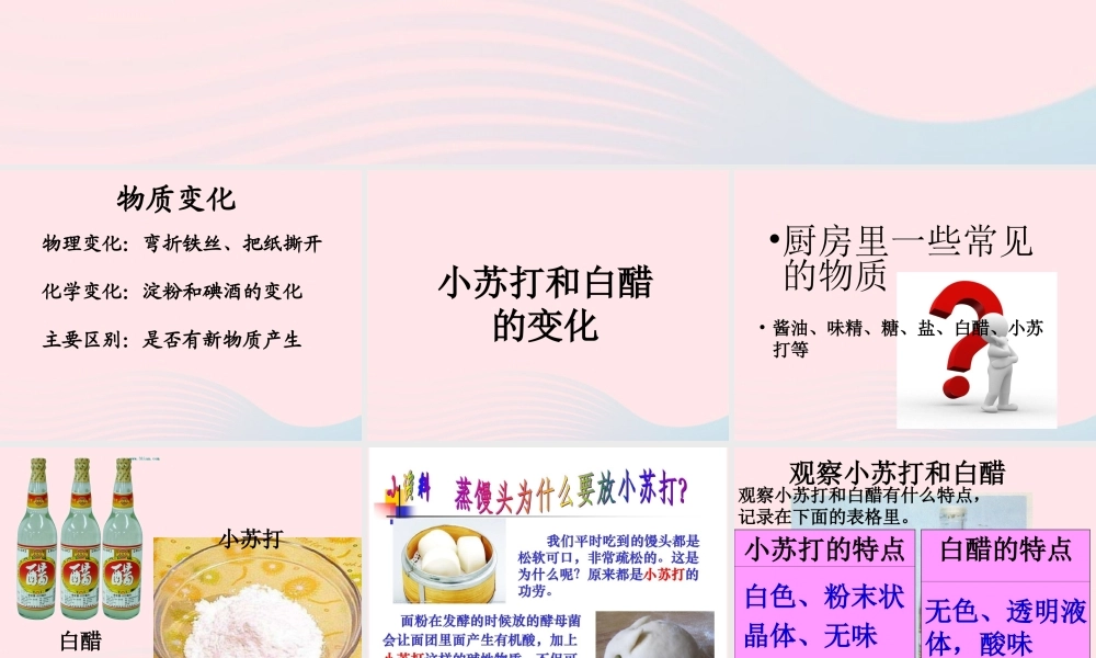 六年级科学下册 第二单元 物质的变化 4小苏打和白醋的变化课件2 教科版-教科版小学六年级下册自然科学课件