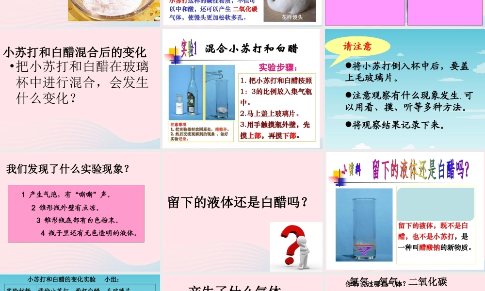 六年级科学下册 第二单元 物质的变化 4小苏打和白醋的变化课件2 教科版-教科版小学六年级下册自然科学课件