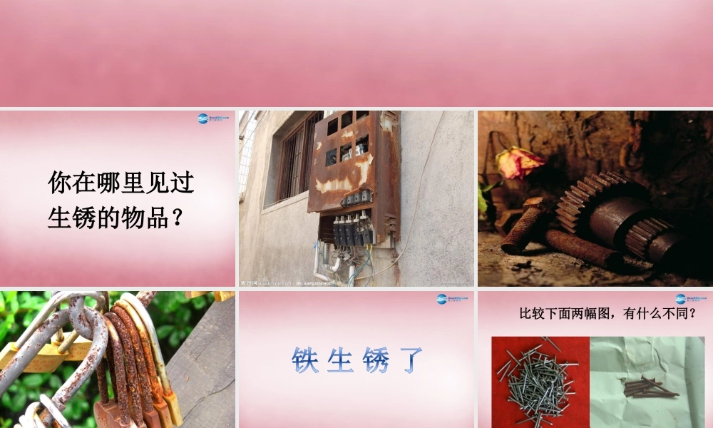 六年级科学上册 第2单元 7 铁生锈课件4 青岛版