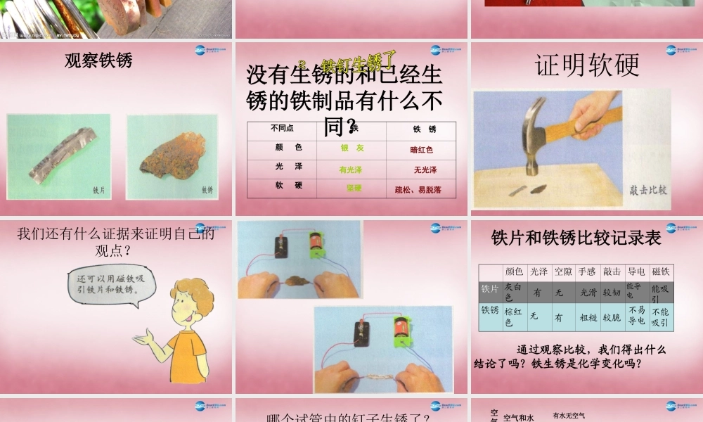 六年级科学上册 第2单元 7 铁生锈课件4 青岛版