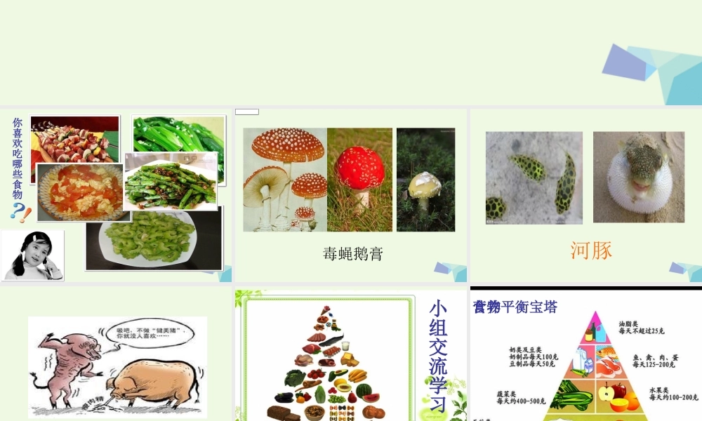 六年级科学上册 2.3 饮食与健康课件2 湘教版-湘教版小学六年级上册自然科学课件