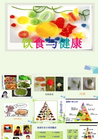 六年级科学上册 2.3 饮食与健康课件2 湘教版-湘教版小学六年级上册自然科学课件