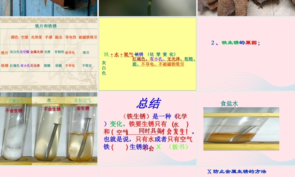 六年级科学下册 第二单元 物质的变化 5 铁生锈了课件1 教科版-教科版小学六年级下册自然科学课件