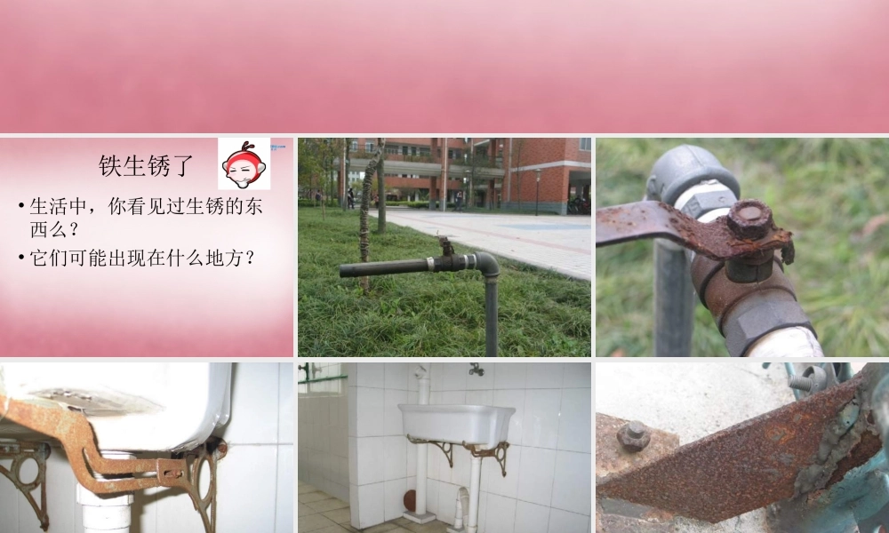 六年级科学上册 第2单元 7 铁生锈课件7 青岛版