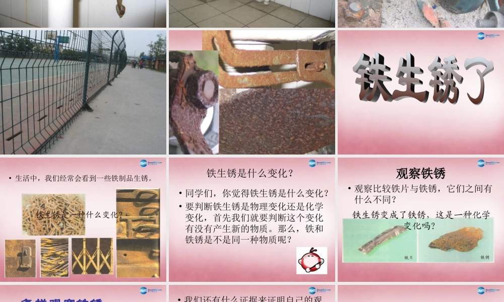 六年级科学上册 第2单元 7 铁生锈课件7 青岛版