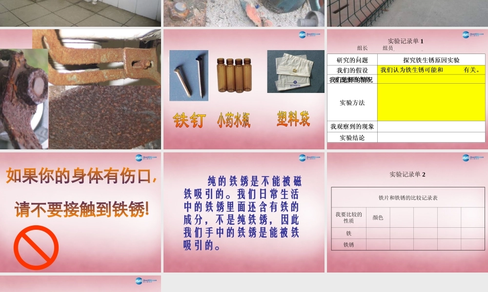 六年级科学上册 第2单元 7 铁生锈课件8 青岛版