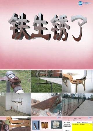 六年级科学上册 第2单元 7 铁生锈课件8 青岛版