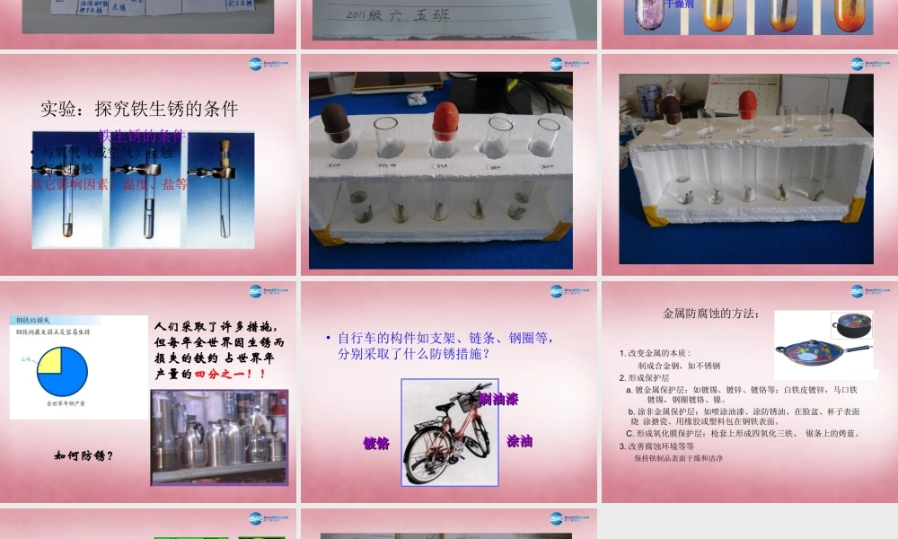六年级科学上册 第2单元 7 铁生锈课件9 青岛版