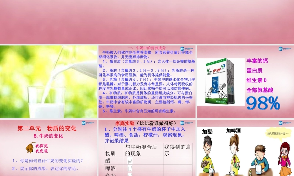 六年级科学上册 第2单元 8 牛奶的变化课件2 青岛版