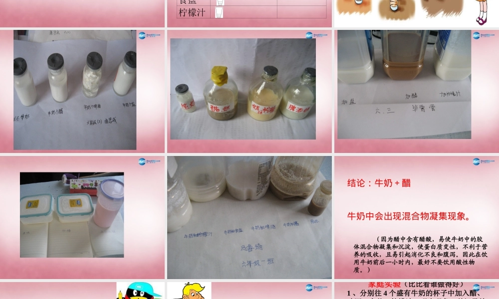 六年级科学上册 第2单元 8 牛奶的变化课件2 青岛版