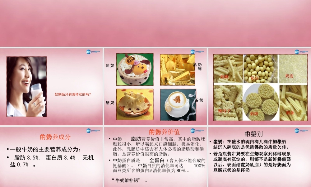 六年级科学上册 第2单元 8 牛奶的变化课件4 青岛版