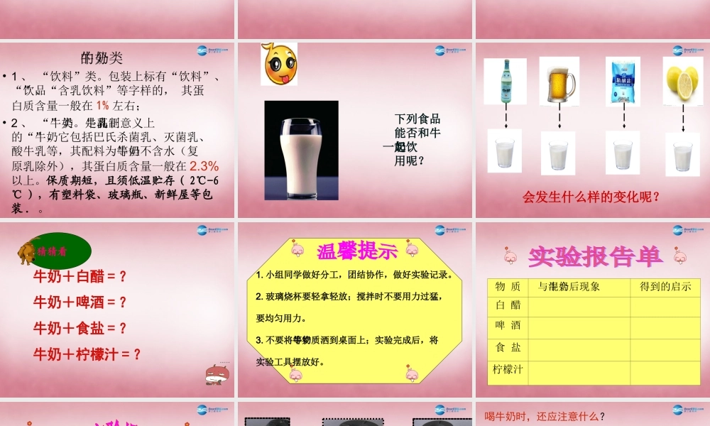 六年级科学上册 第2单元 8 牛奶的变化课件4 青岛版
