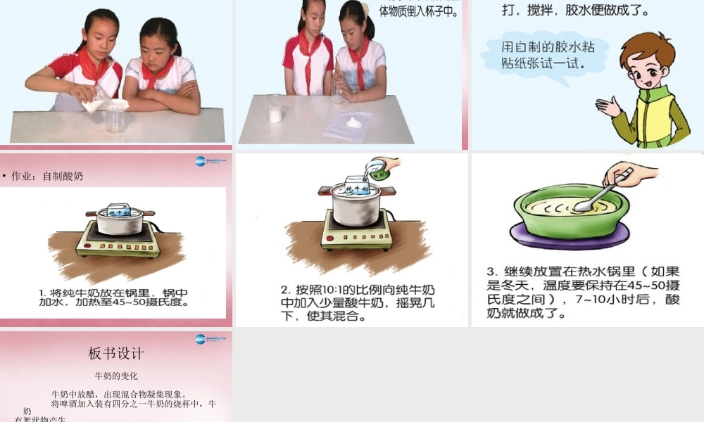 六年级科学上册 第2单元 8 牛奶的变化课件5 青岛版