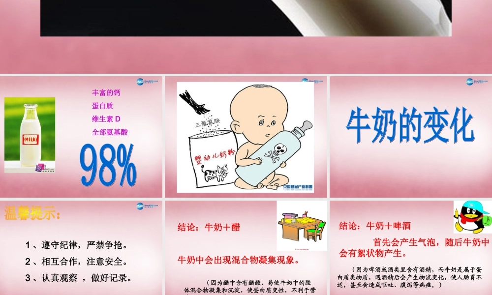 六年级科学上册 第2单元 8 牛奶的变化课件6 青岛版