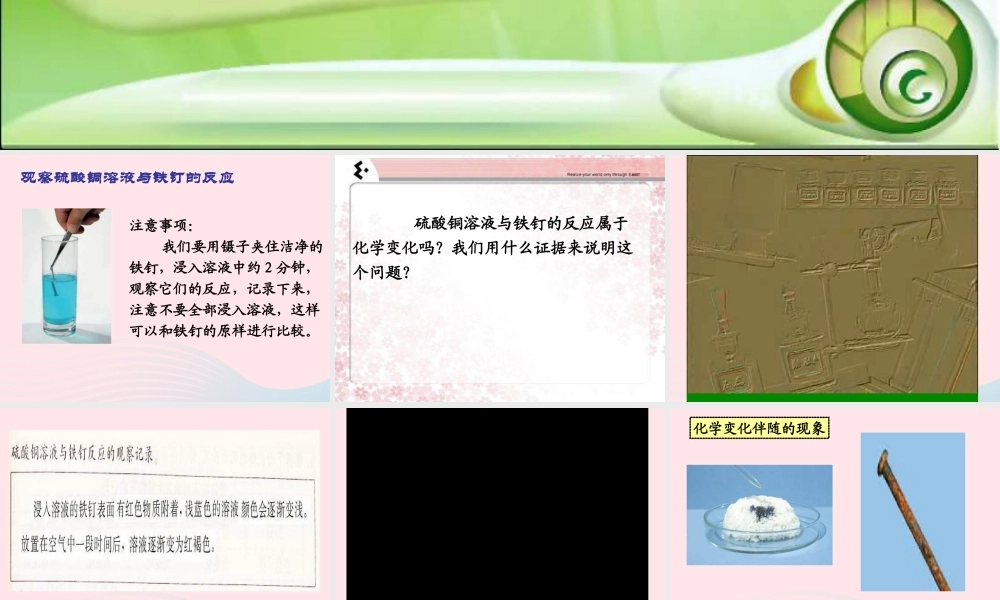 六年级科学下册 第二单元 物质的变化 6 化学变化伴随的现象课件 教科版-教科版小学六年级下册自然科学课件