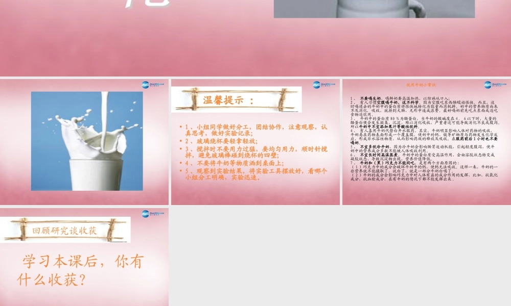 六年级科学上册 第2单元 8 牛奶的变化课件10 青岛版