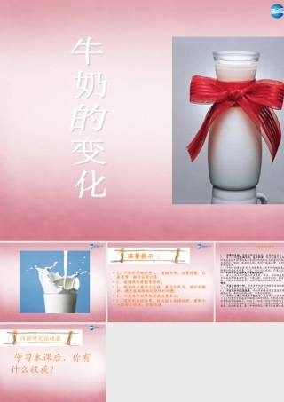 六年级科学上册 第2单元 8 牛奶的变化课件10 青岛版