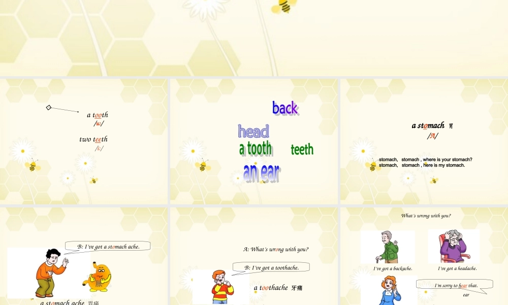 六年级英语上册 Lesson 10(2)课件 陕旅版