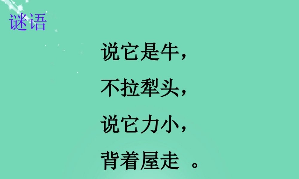 六年级科学上册 第2章 第1节 生物-观察蜗牛课件 牛津上海版五四制-牛津上海版小学六年级上册自然科学课件