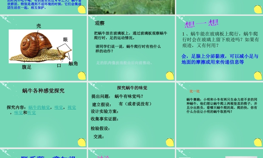 六年级科学上册 第2章 第1节 生物-观察蜗牛课件 牛津上海版五四制-牛津上海版小学六年级上册自然科学课件