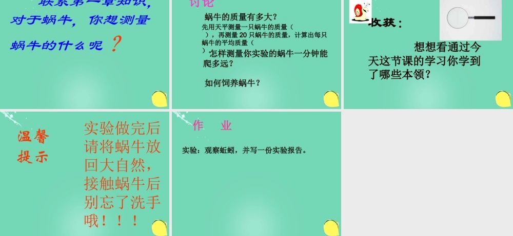 六年级科学上册 第2章 第1节 生物-观察蜗牛课件 牛津上海版五四制-牛津上海版小学六年级上册自然科学课件