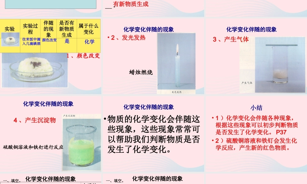 六年级科学下册 第二单元 物质的变化 6 化学变化伴随的现象课件5 教科版-教科版小学六年级下册自然科学课件
