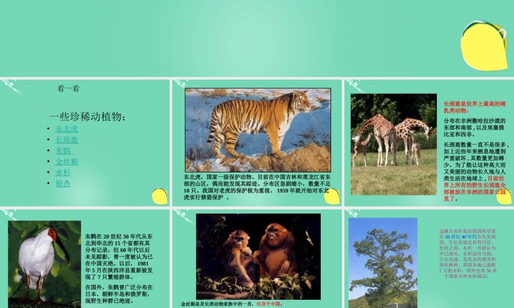 六年级科学上册 第2章 第3节 濒临绝种的生物课件 牛津上海版五四制-牛津上海版小学六年级上册自然科学课件